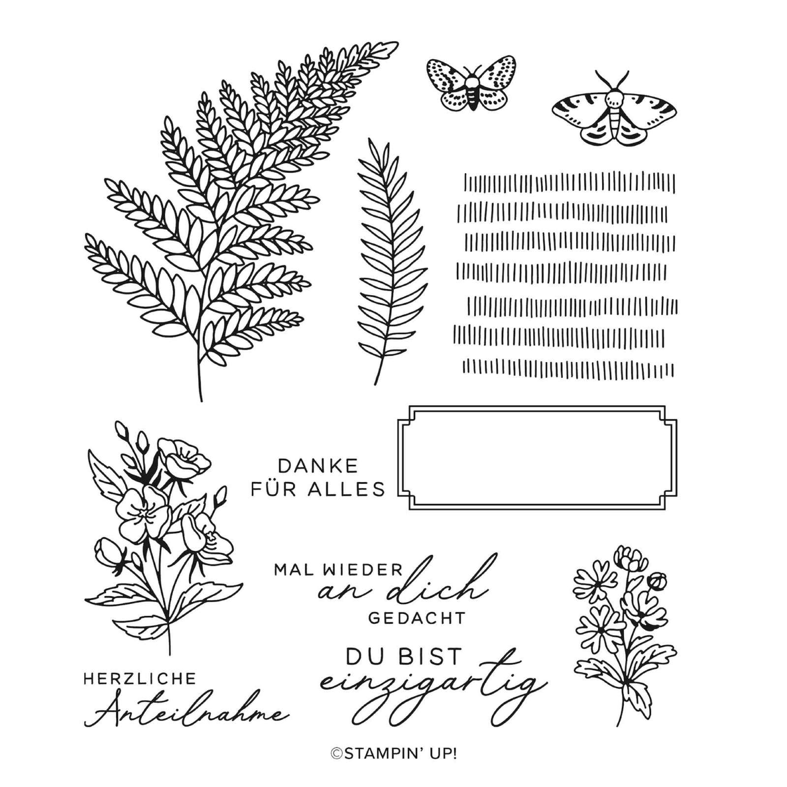 PRODUKTPAKET FLORA MIT FARN (DEUTSCH)