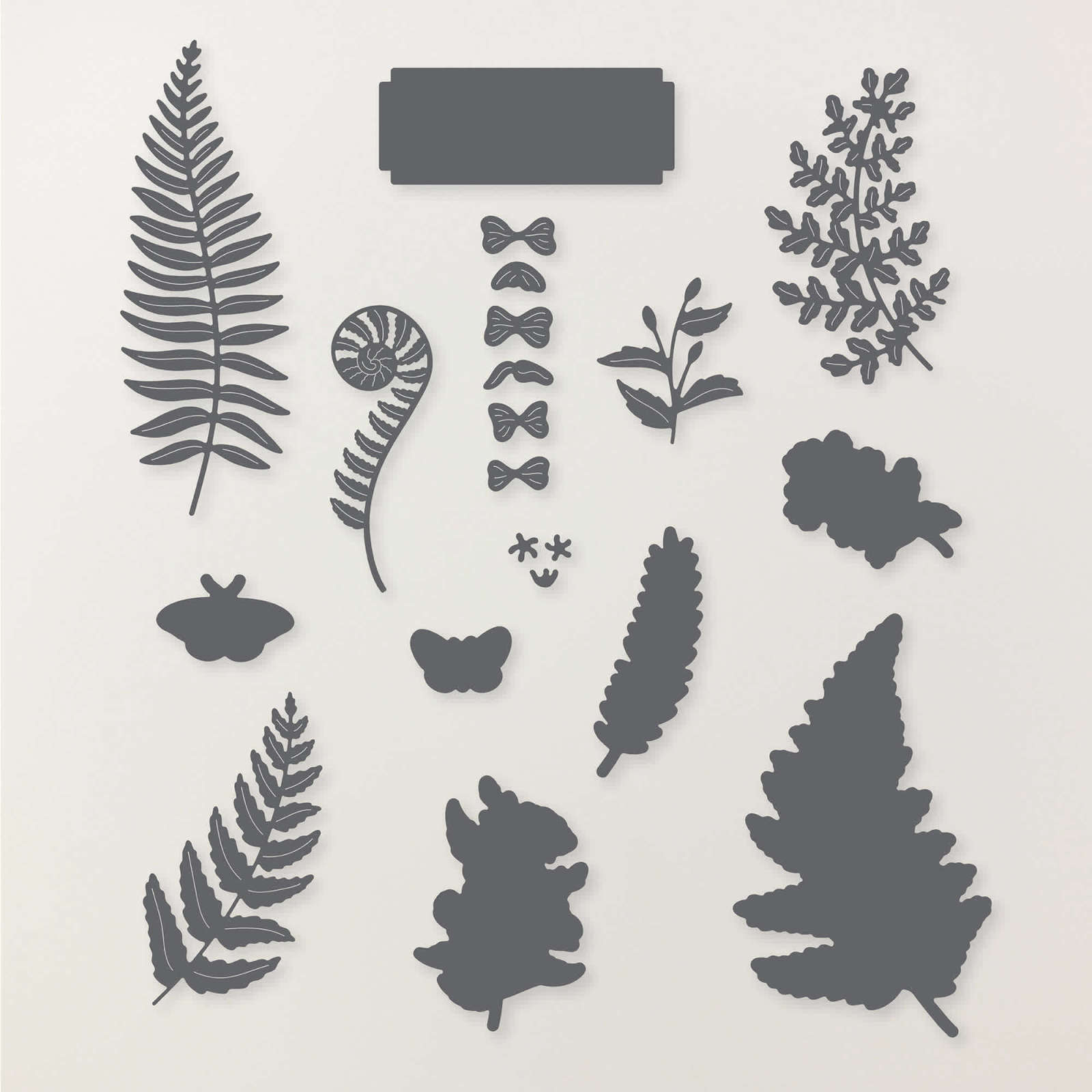 PRODUKTPAKET FLORA MIT FARN (DEUTSCH)
