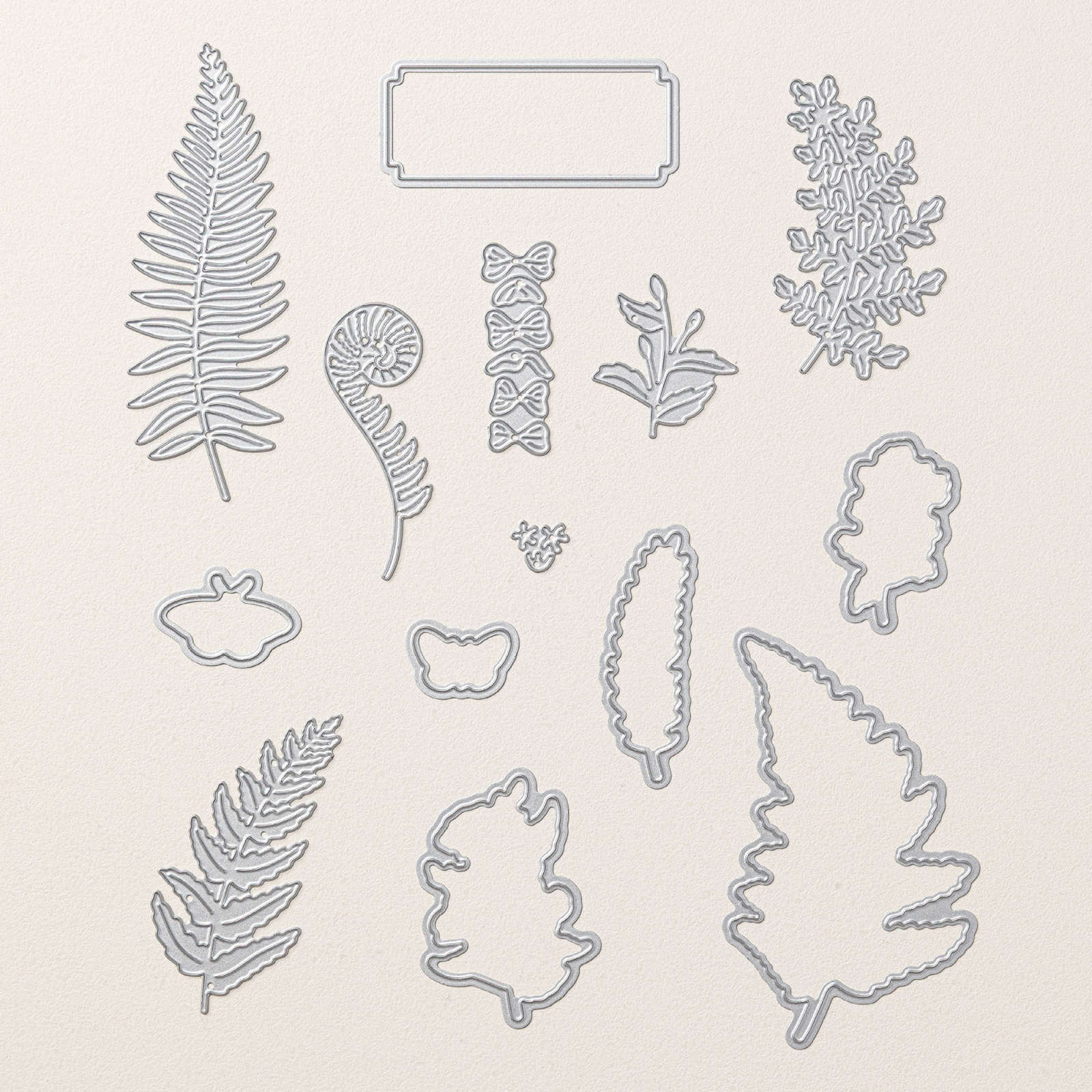 PRODUKTPAKET FLORA MIT FARN (DEUTSCH)