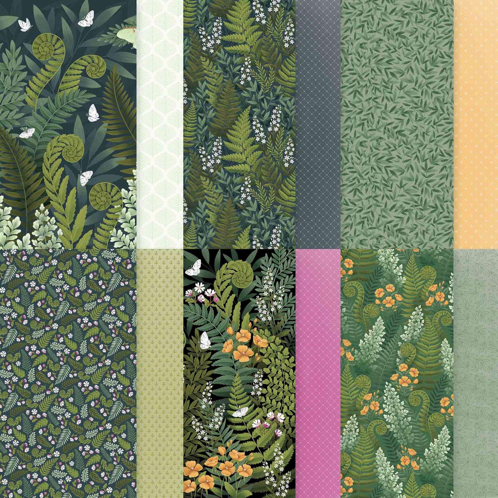 ASSORTIMENT DE COLLECTION FLORE AU CLAIR DE LUNE (FRANÇAIS)