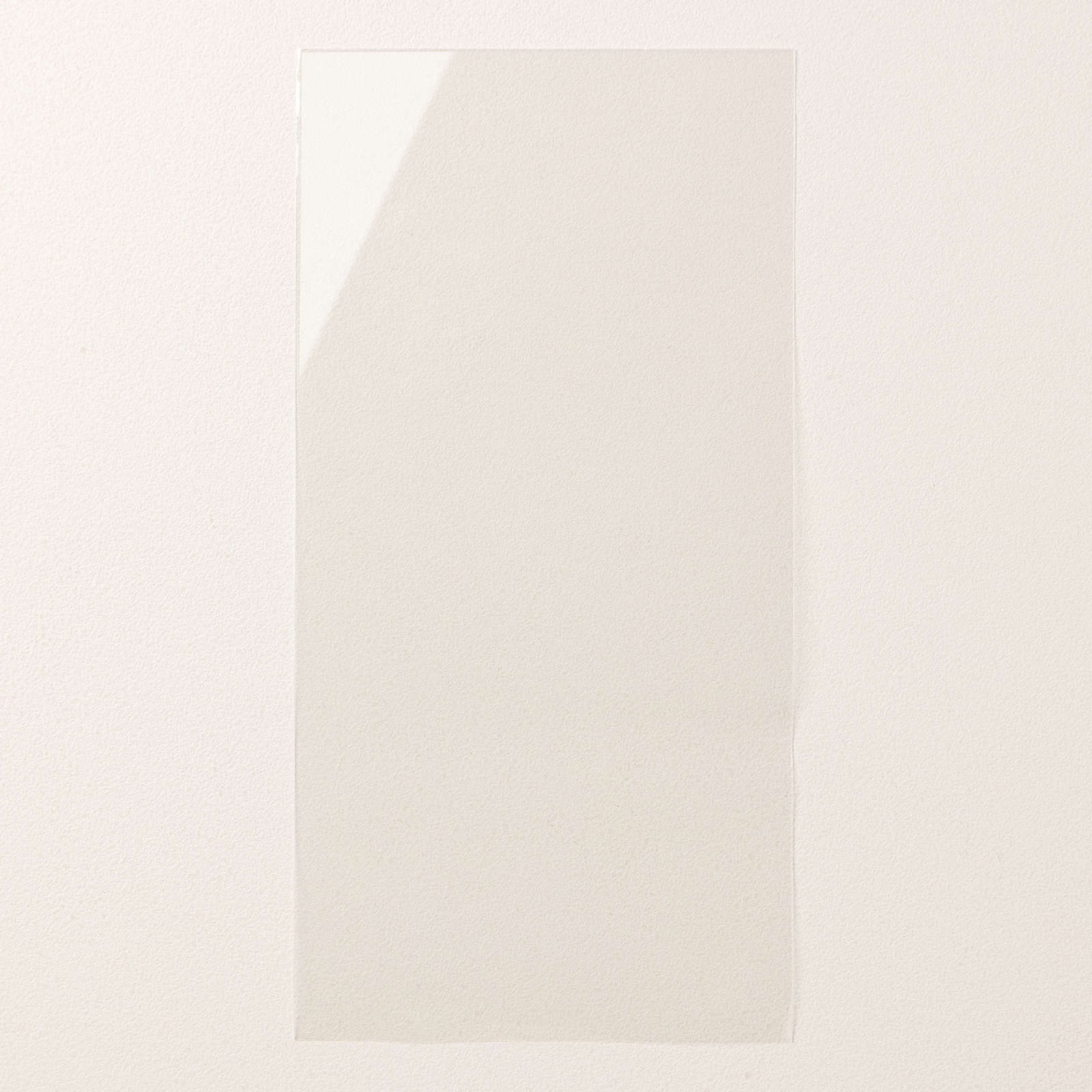 FLAT 4" X 8" (10.2 X 20.3 CM) CELLOPHANE BAGS