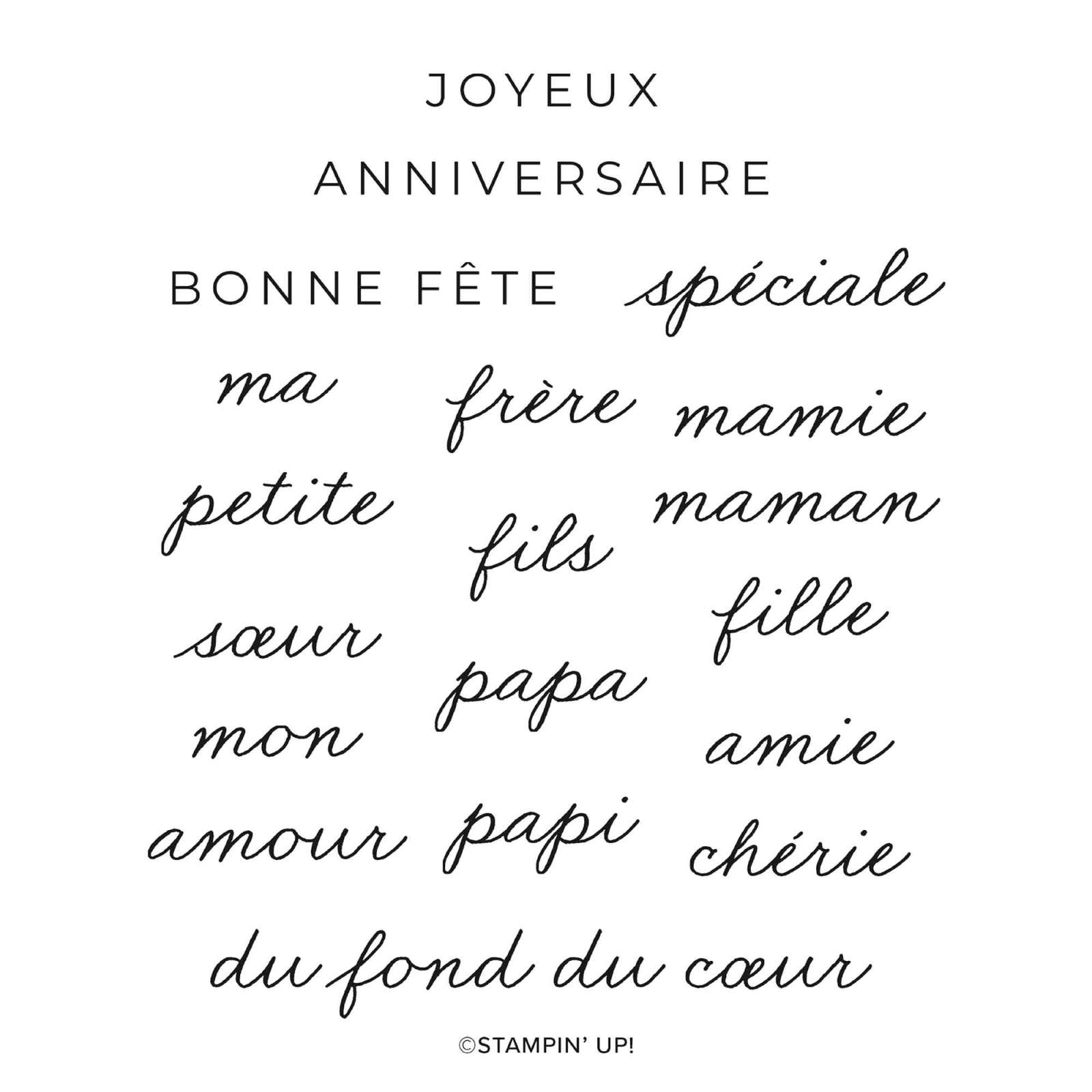 SET DE TAMPONS EN RÉSINE FÊTE FAMILIALE (FRANÇAIS)