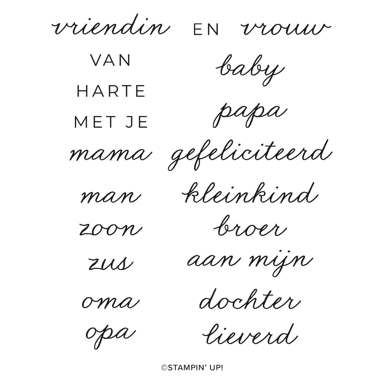 FOTOPOLYMEERSTEMPELSET FAMILIEFEEST (NEDERLANDS)