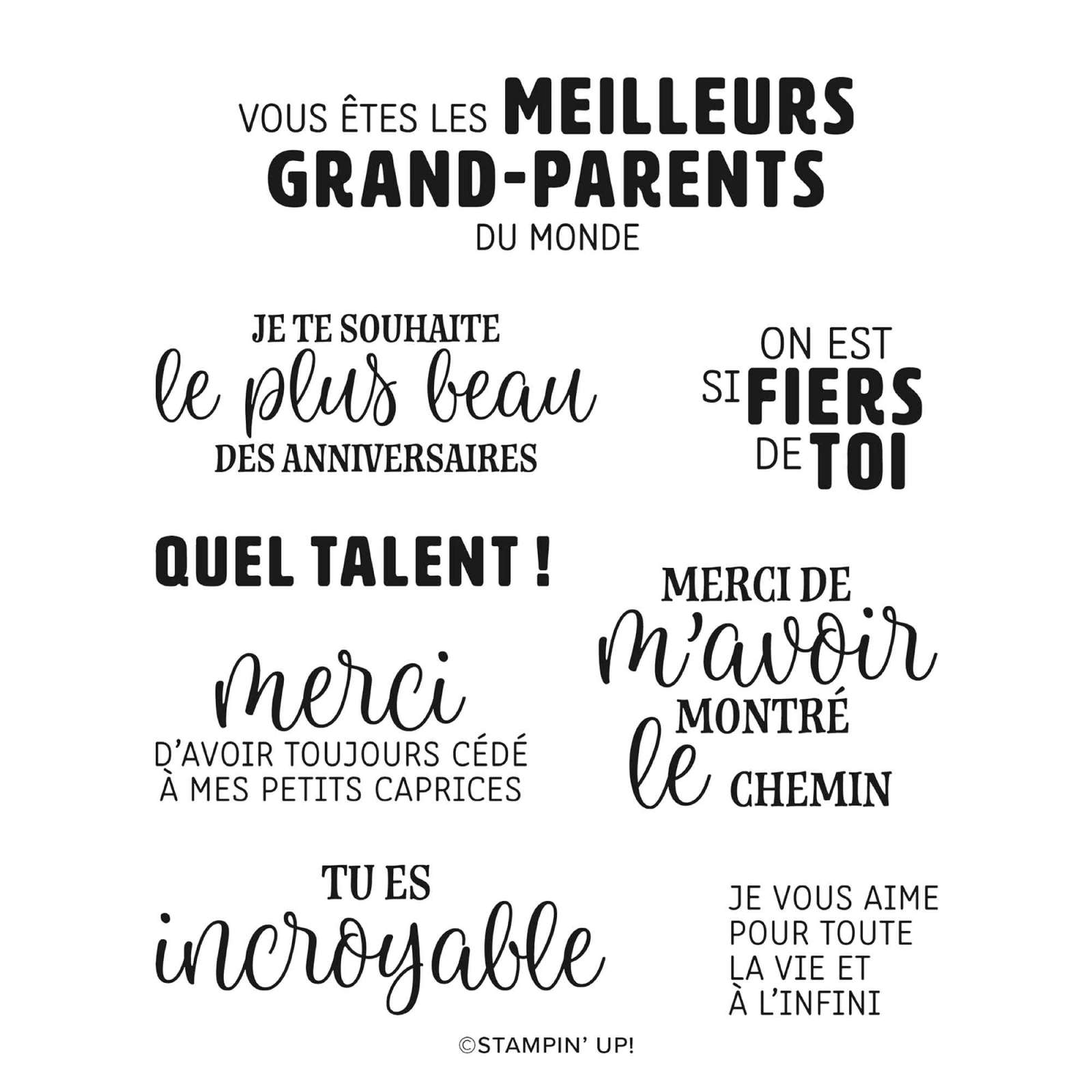 SET DE TAMPONS EN RÉSINE MEILLEURS AU MONDE (FRANÇAIS)