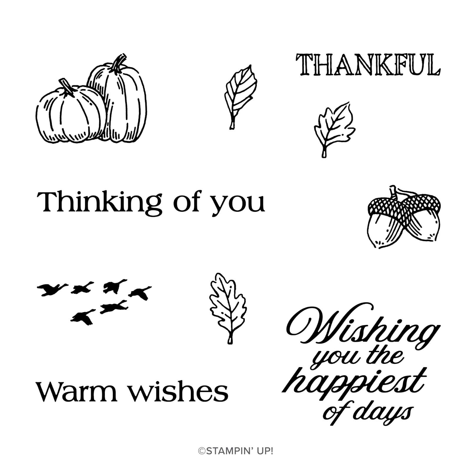 FALL FOR TOILE PAPER PUMPKIN PAST KIT