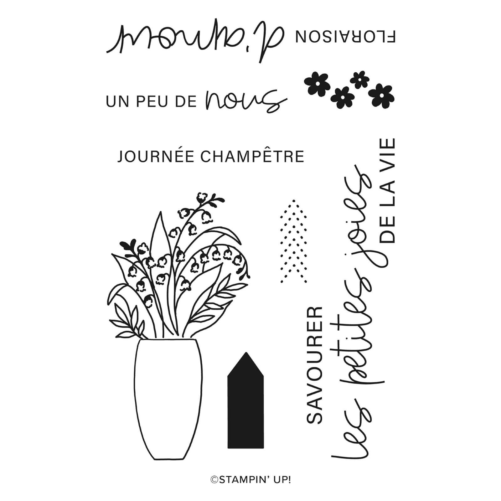 SET DE TAMPONS EN RÉSINE VIE ÉPANOUIE (FRANÇAIS)