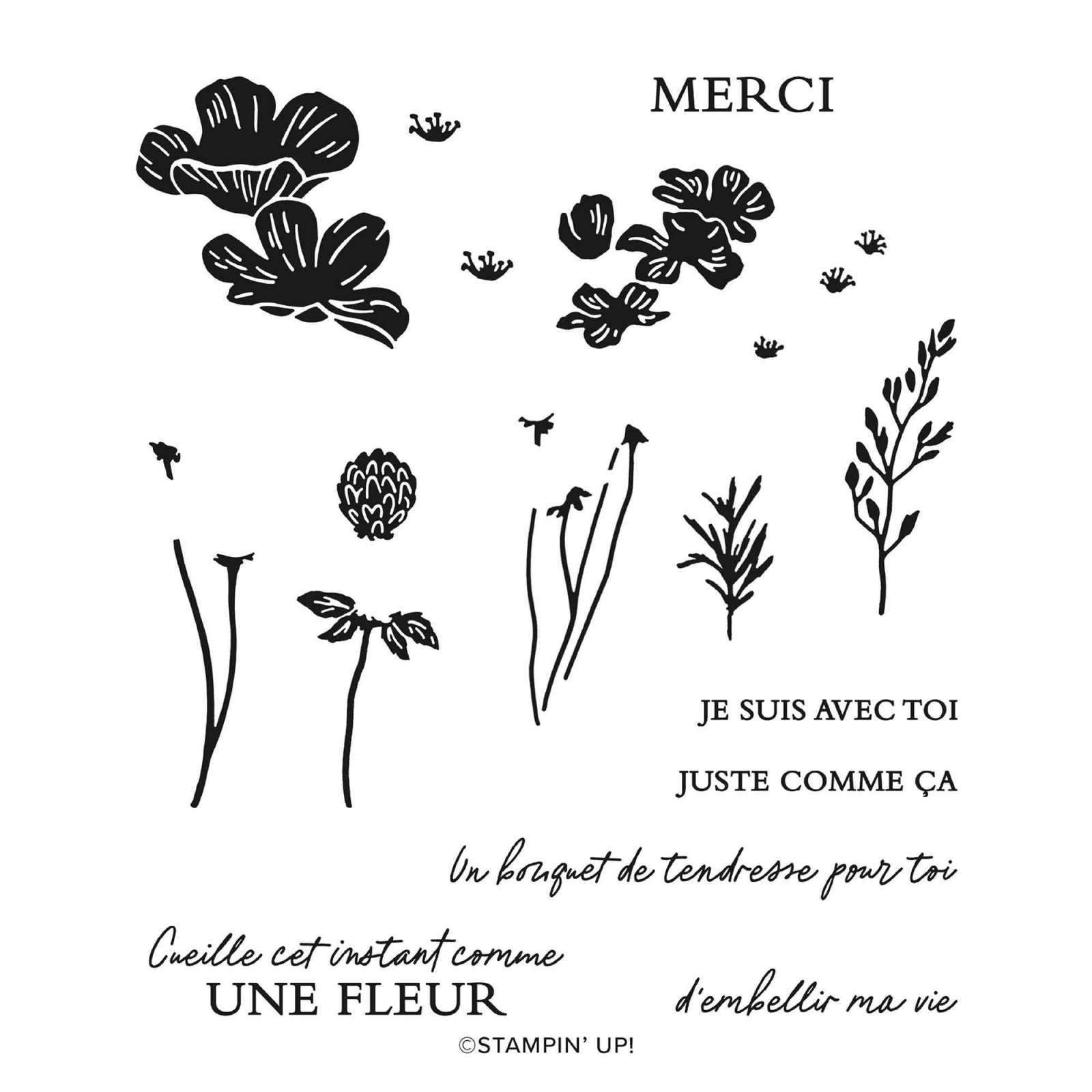 LOT PRAIRIE EN FLEURS (FRANÇAIS)