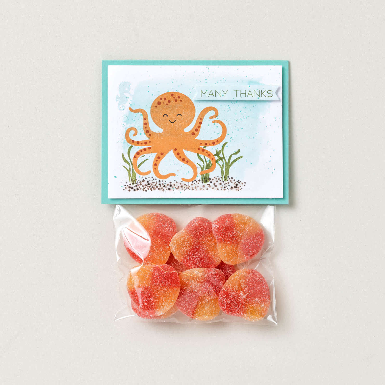 THOUGHTFUL OCTOPUS PHOTOPOLYMER STAMP SET (ENGLISH)