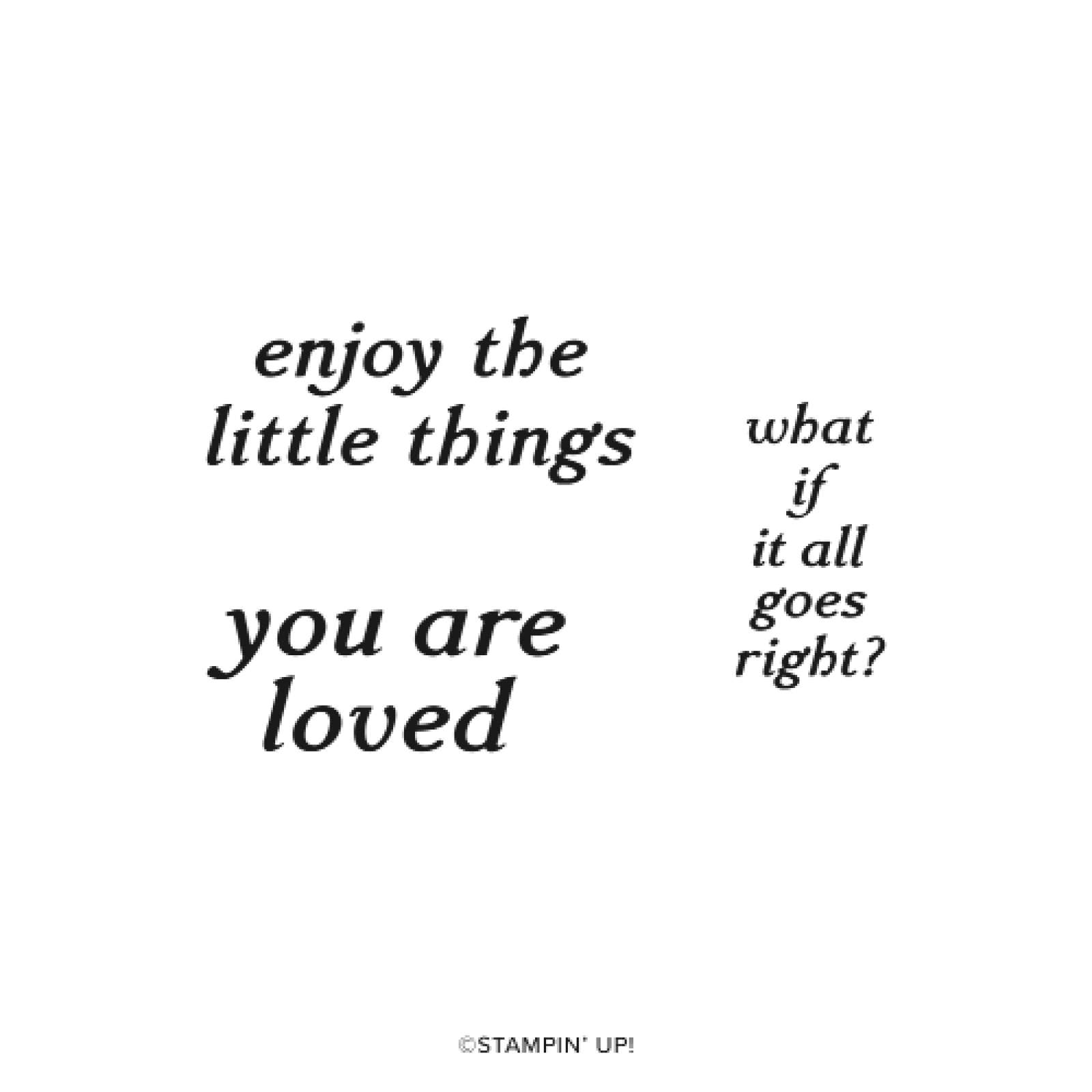 EVERY LITTLE THING KIT (ENGLISH)