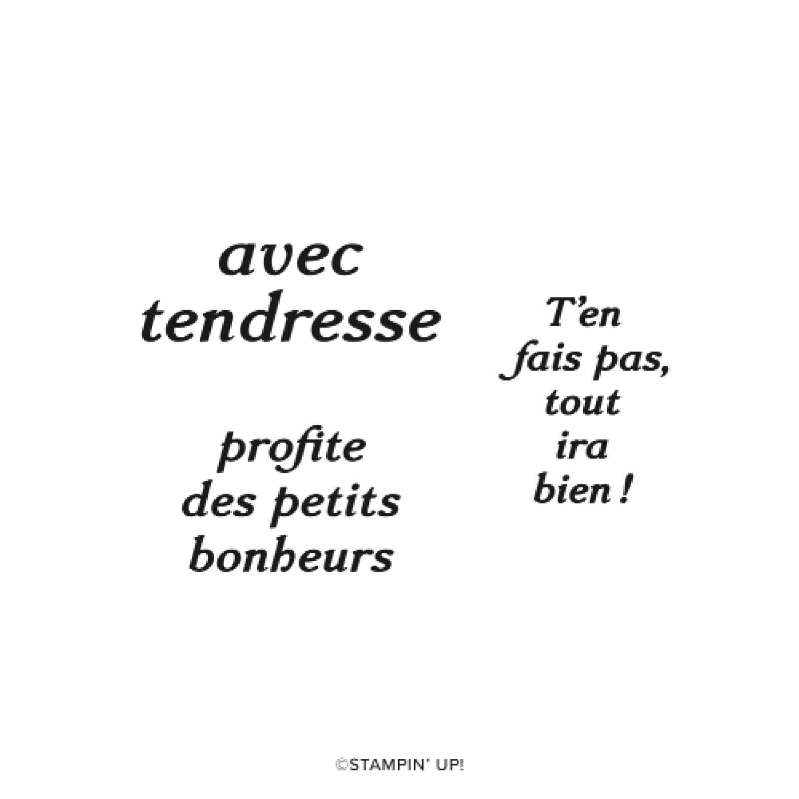 KIT LES PETITS BONHEURS (FRANÇAIS)