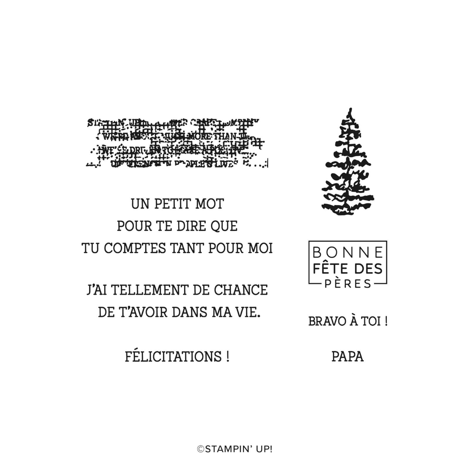 PAYSAGES SEREINS KIT (FRENCH)