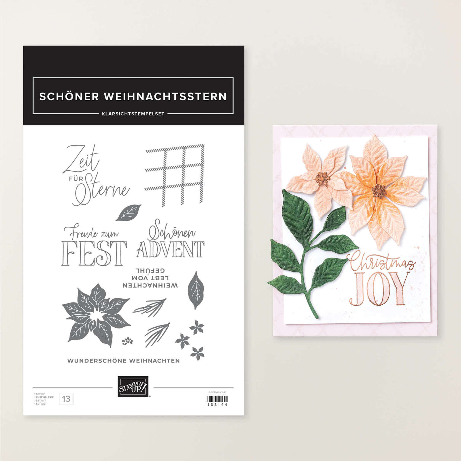 STEMPELSET KLARSICHT SCHÖNER WEIHNACHTSSTERN (DEUTSCH)