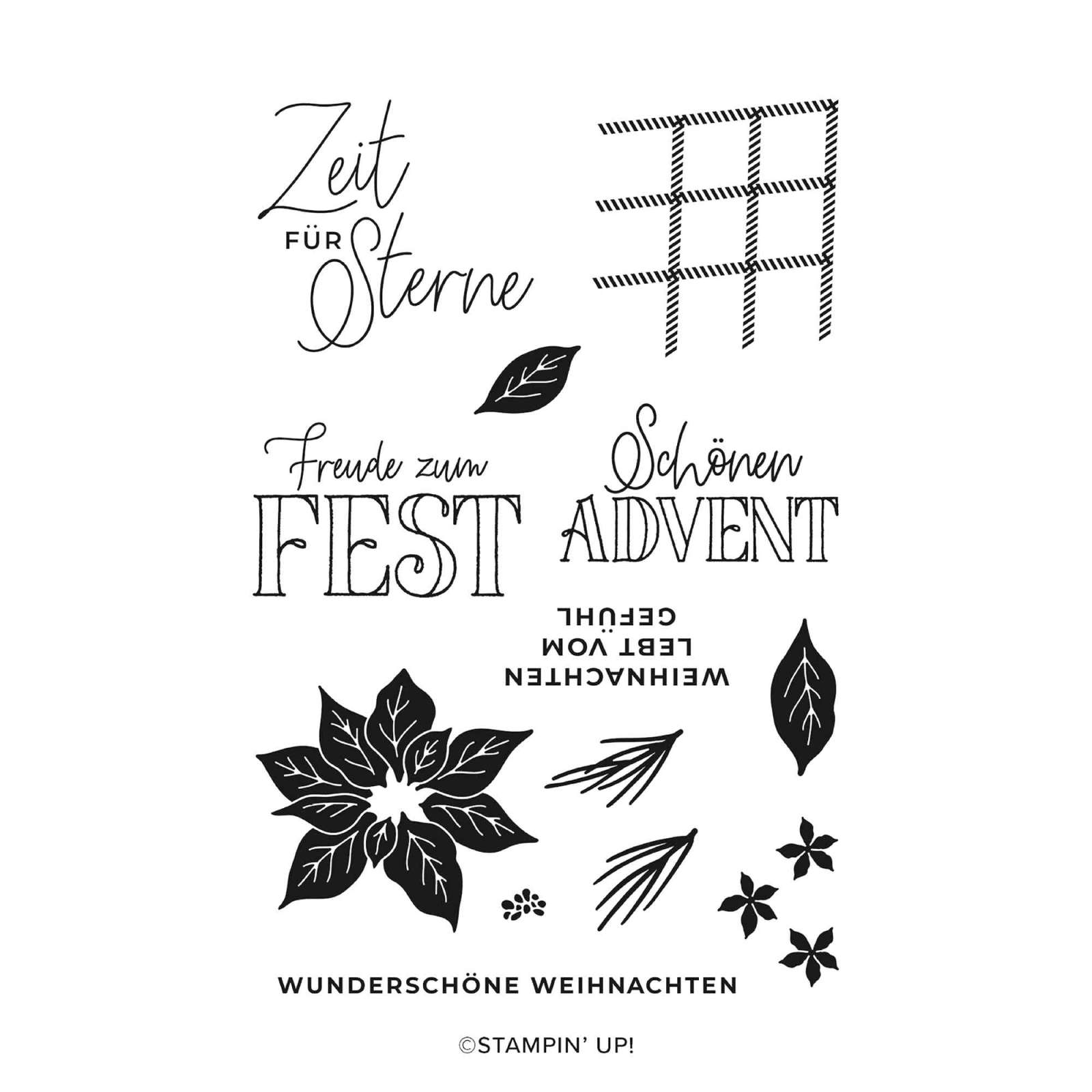 PRODUKTPAKET SCHÖNER WEIHNACHTSSTERN (DEUTSCH)