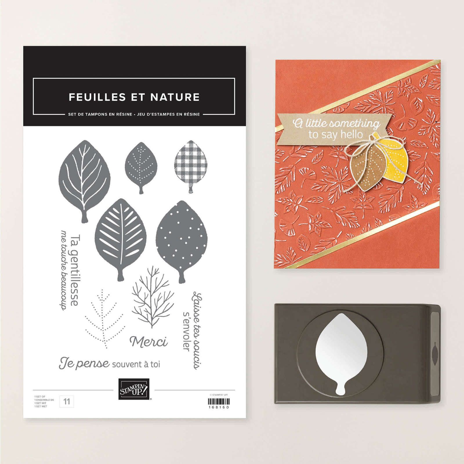 LOT FEUILLES ET NATURE (FRANÇAIS)