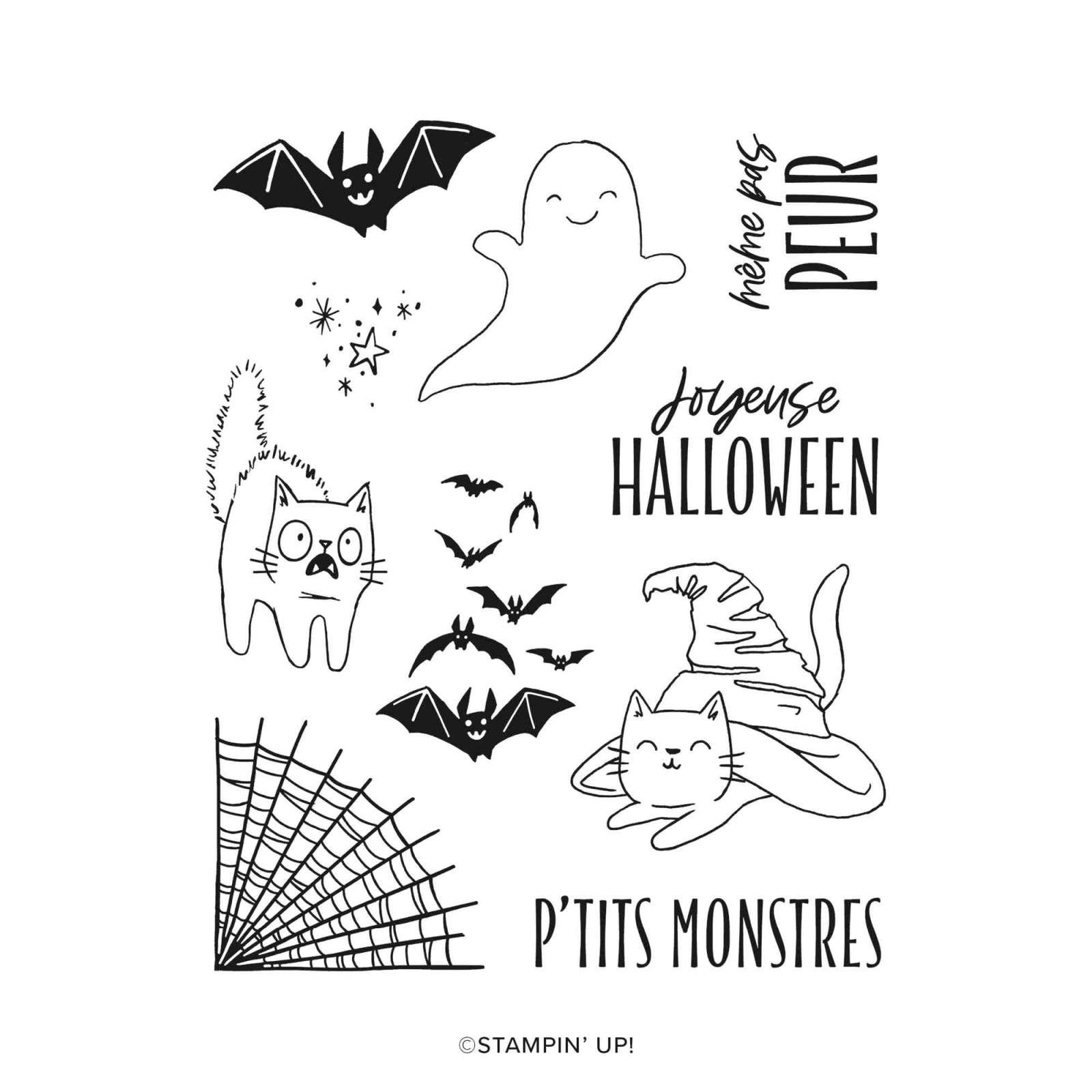 ASSORTIMENT DE COLLECTION EFFROYABLEMENT FUN (FRANÇAIS)