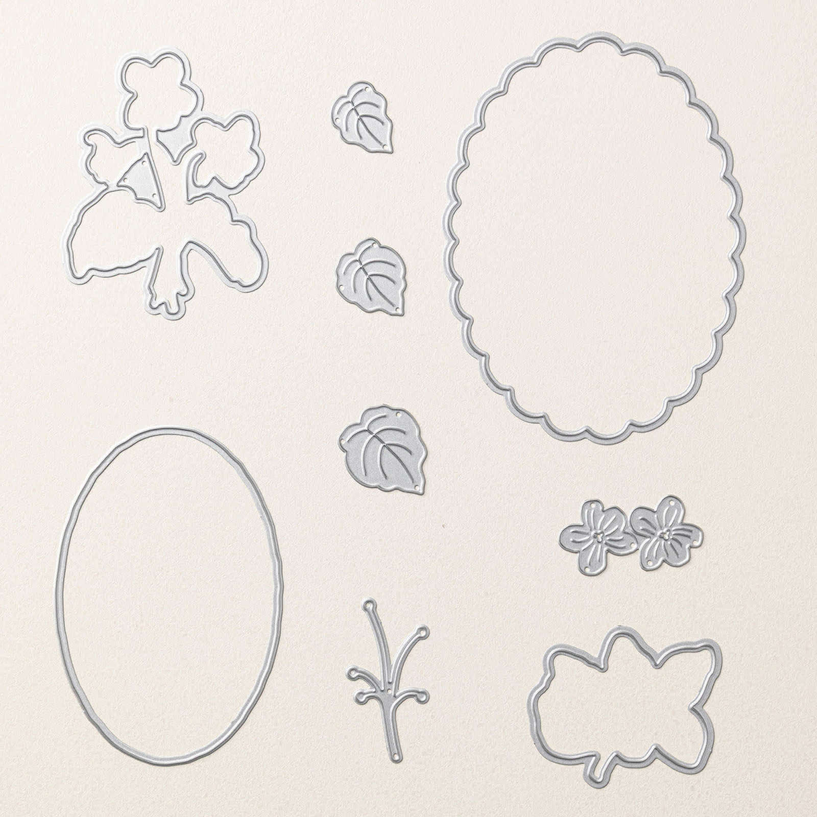ASSORTIMENT DE COLLECTION RÊVES DE VIOLETTES (FRANÇAIS)