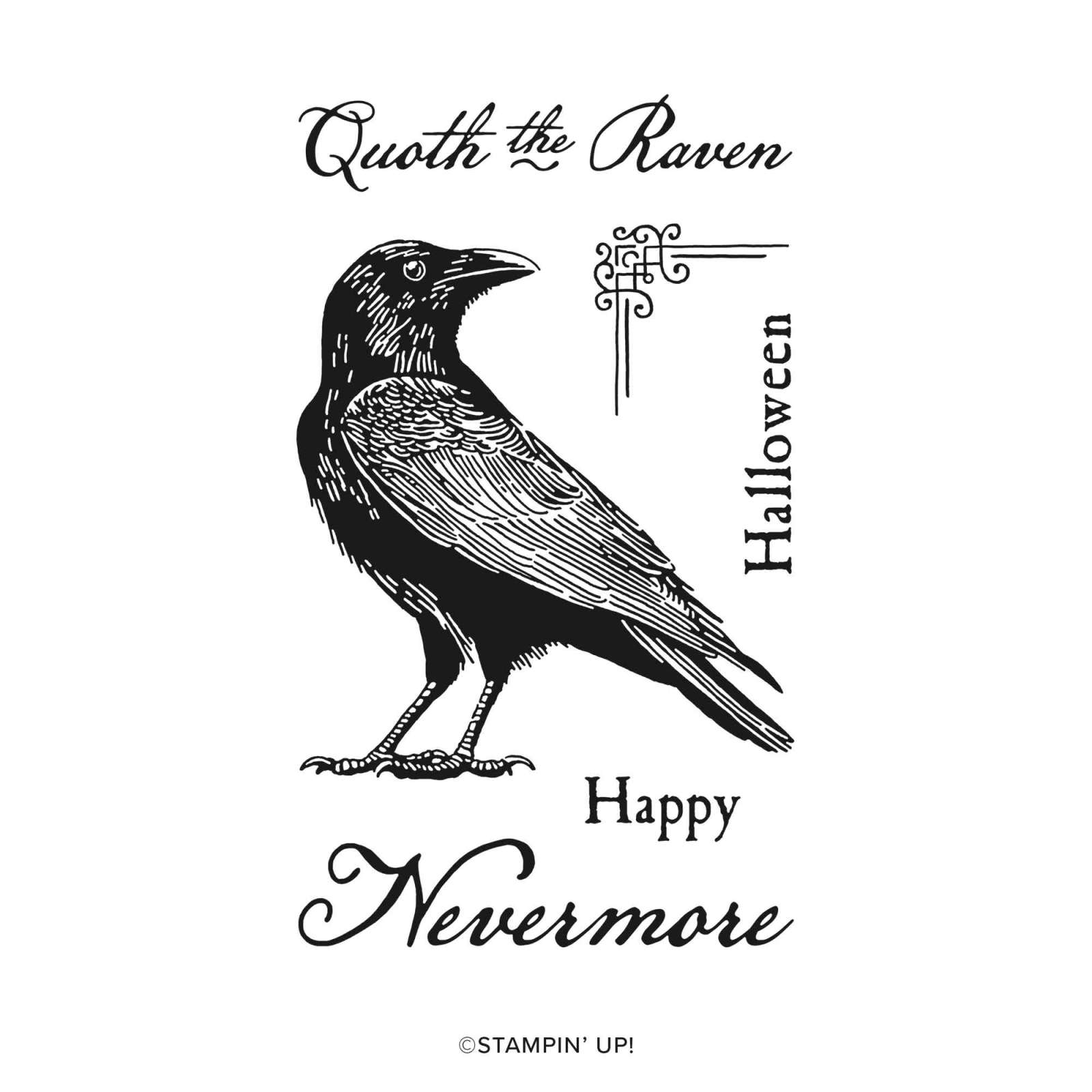 RAVEN'S TALE PHOTOPOLYMER STAMP SET (ENGLISH)