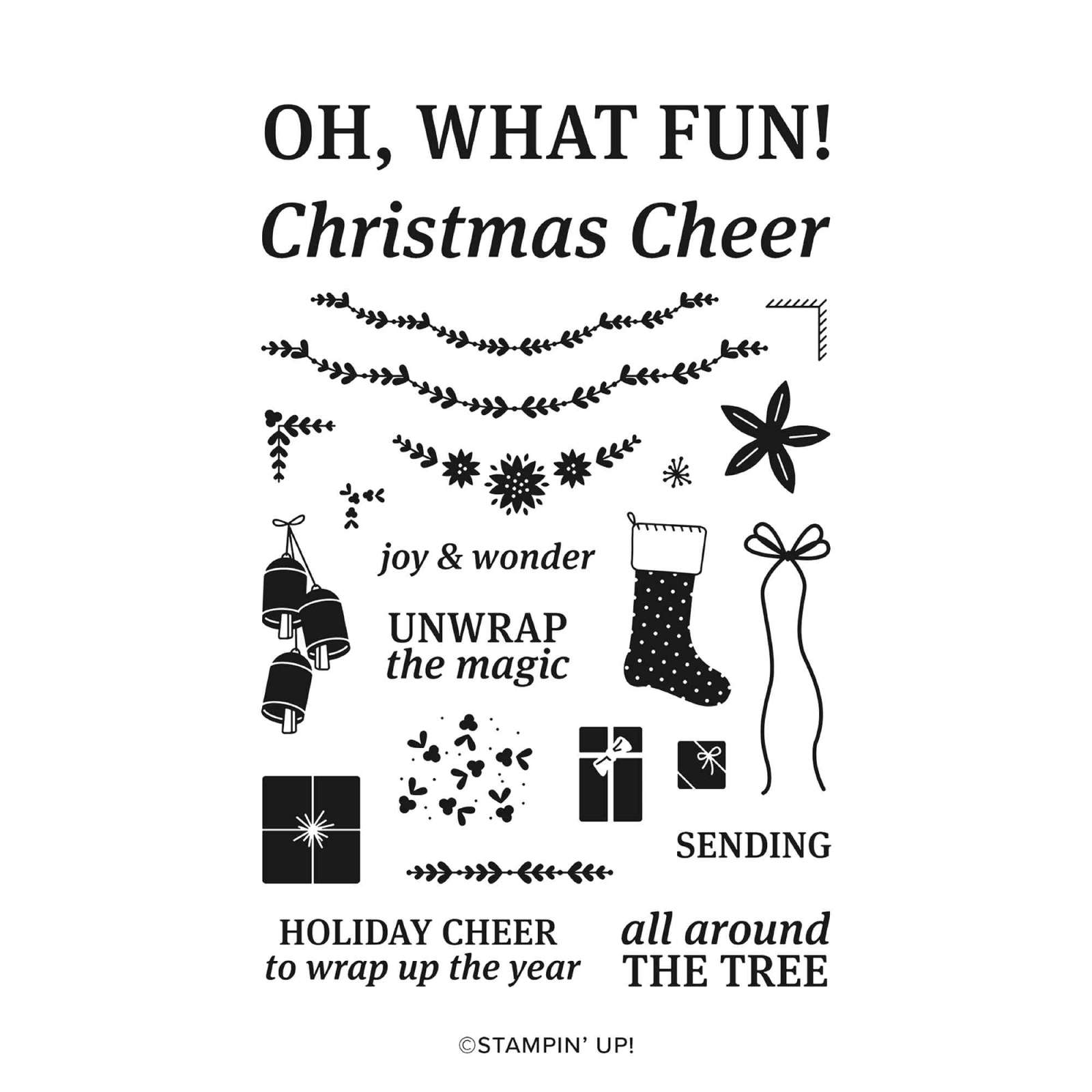 FESTIVE FRAMED PHOTOS PHOTOPOLYMER STAMP SET (ENGLISH)