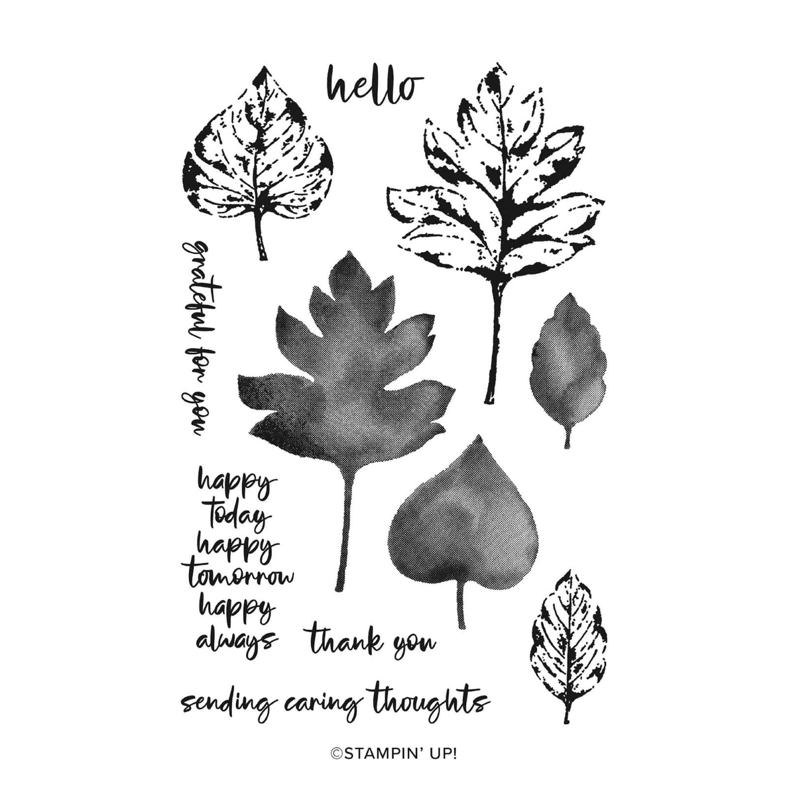 ELEGANT LEAVES BUNDLE (ENGLISH)
