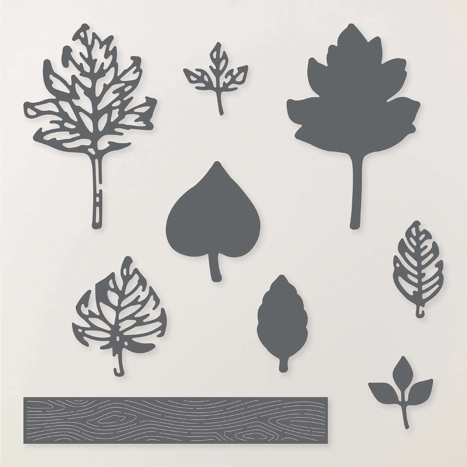 ELEGANT LEAVES BUNDLE (ENGLISH)