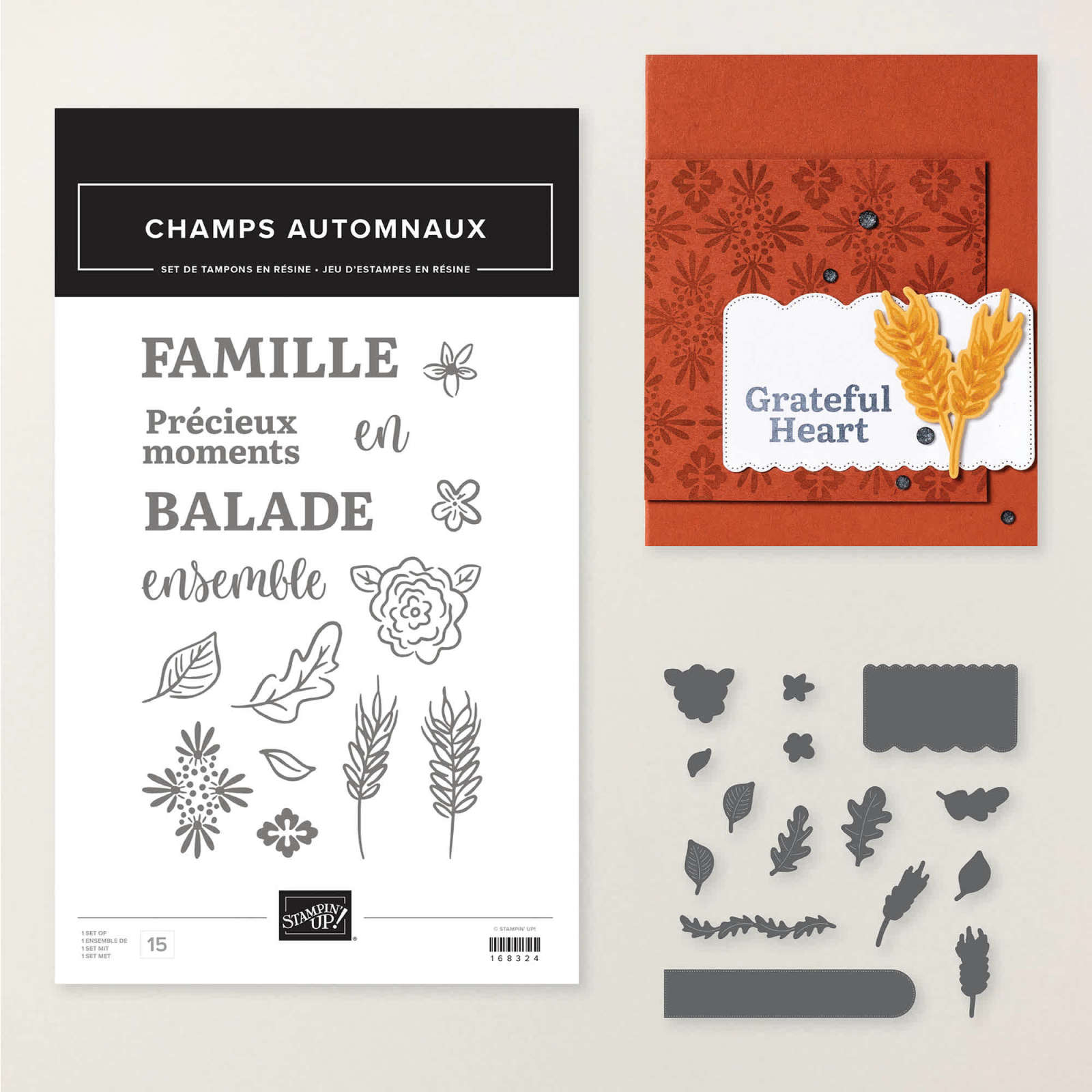 LOT CHAMPS AUTOMNAUX (FRANÇAIS)