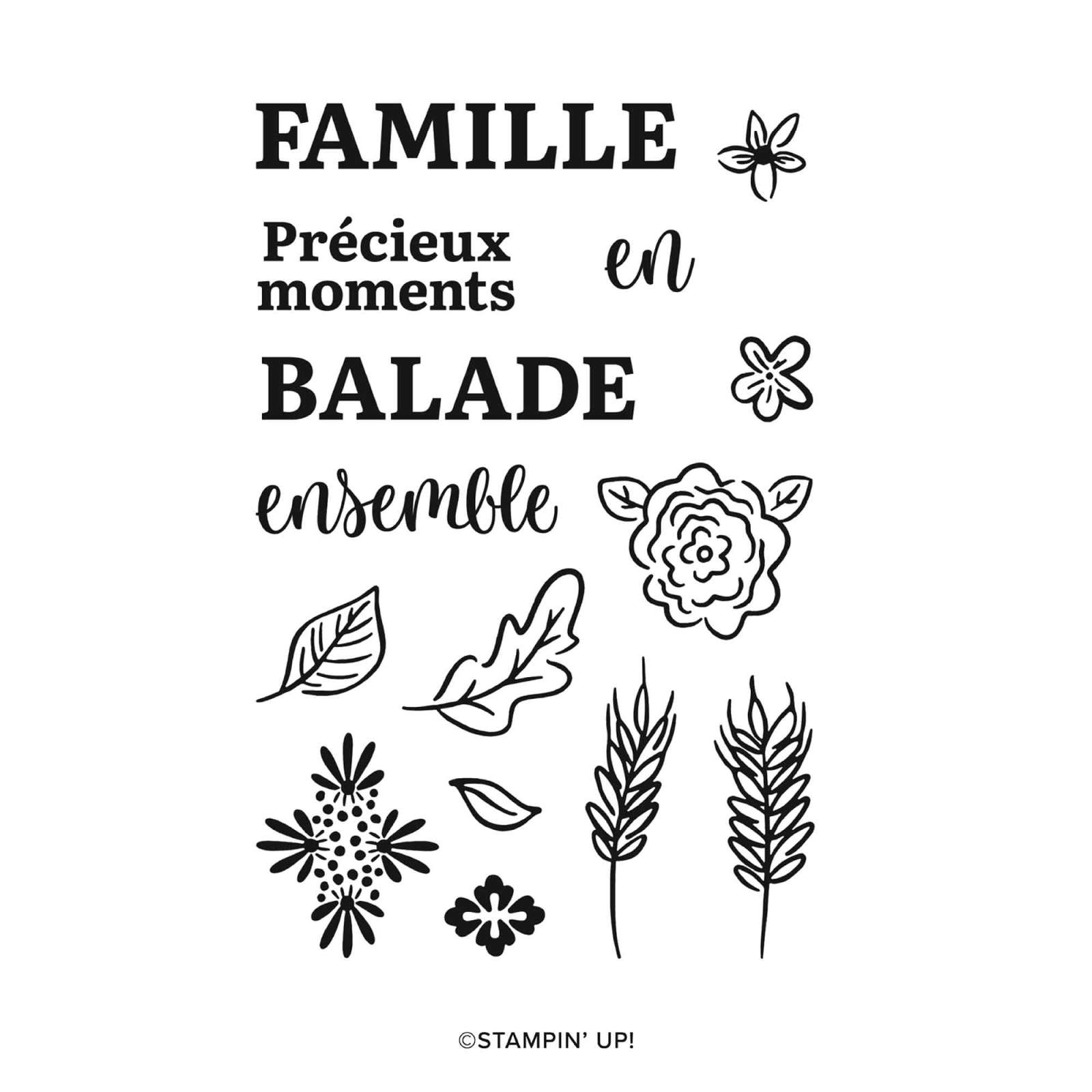LOT CHAMPS AUTOMNAUX (FRANÇAIS)