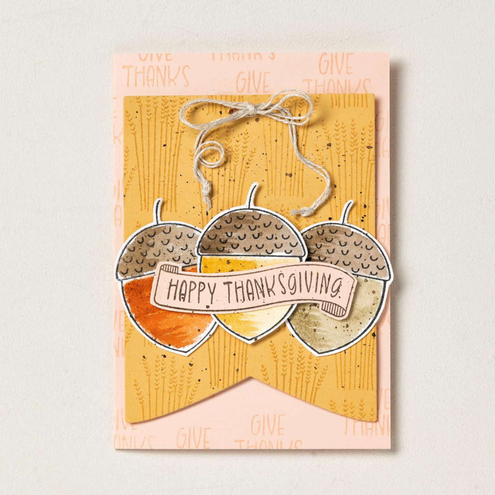 THANKS & GIVING PHOTOPOLYMER STAMP SET (ENGLISH)