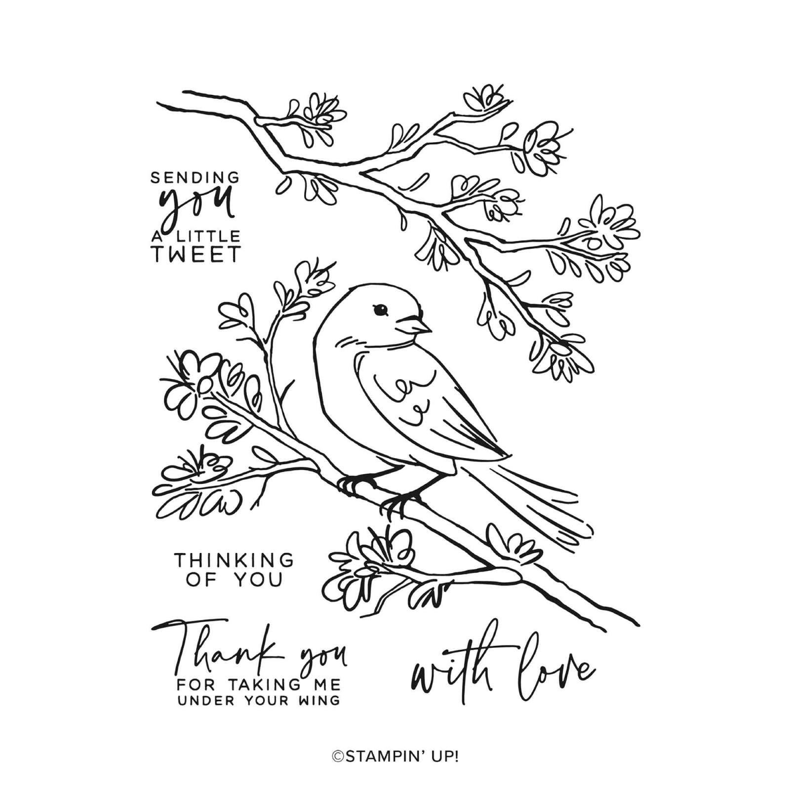 UNDER MY WING PHOTOPOLYMER STAMP SET (ENGLISH)