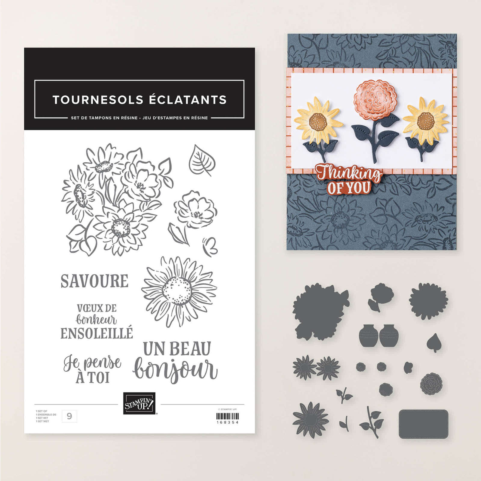 LOT TOURNESOLS ÉCLATANTS (FRANÇAIS)