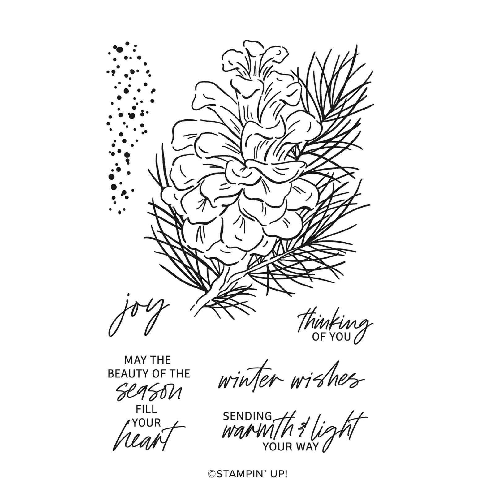 FROSTED PINECONES PHOTOPOLYMER STAMP SET (ENGLISH)