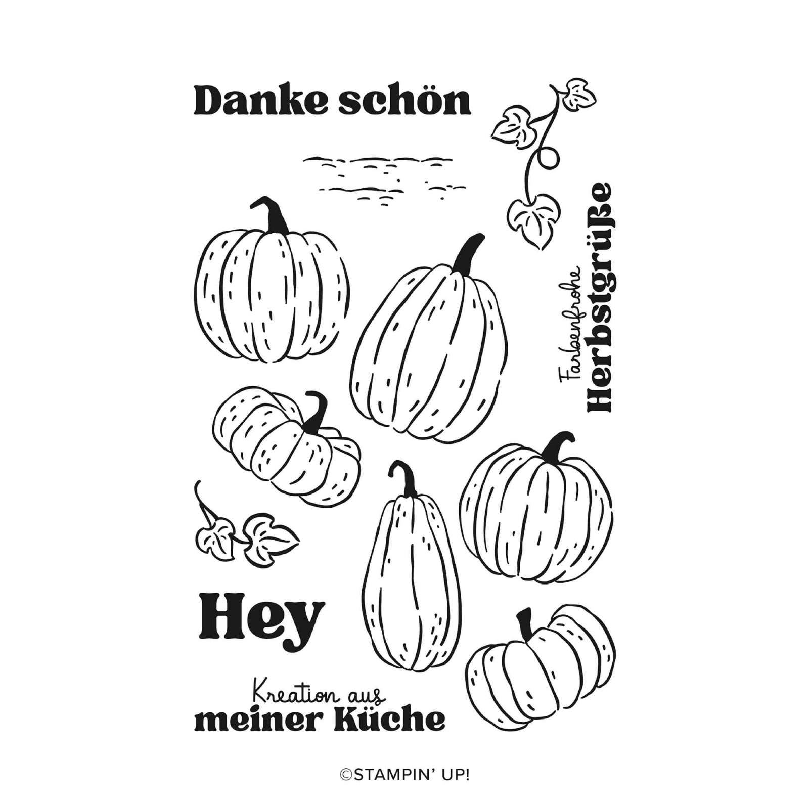 STEMPELSET KLARSICHT KUNSTVOLLE KÜRBISSE (DEUTSCH)