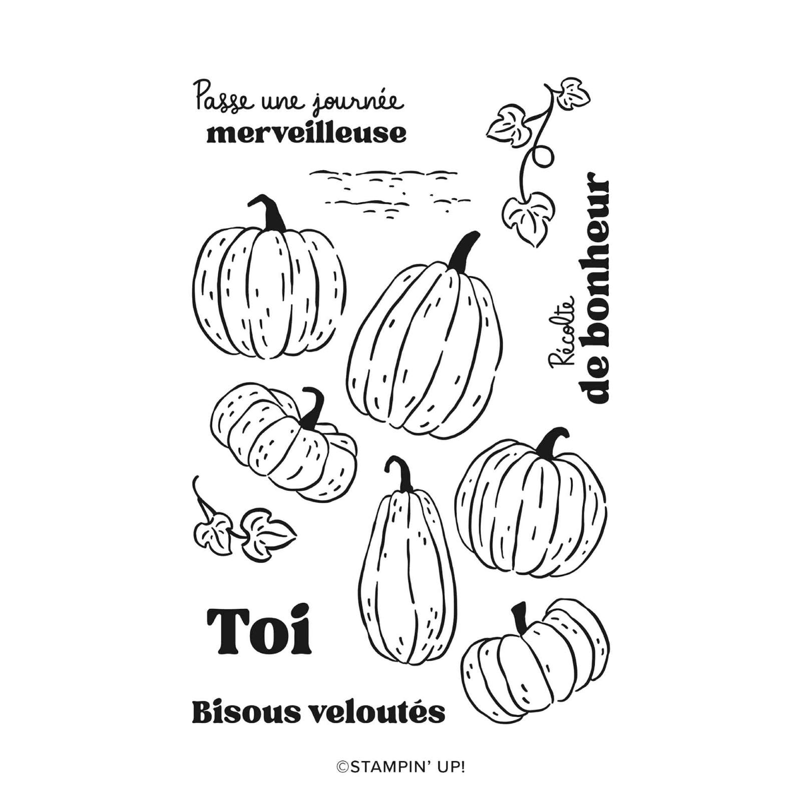 LOT CITROUILLES PEINTES (FRANÇAIS)