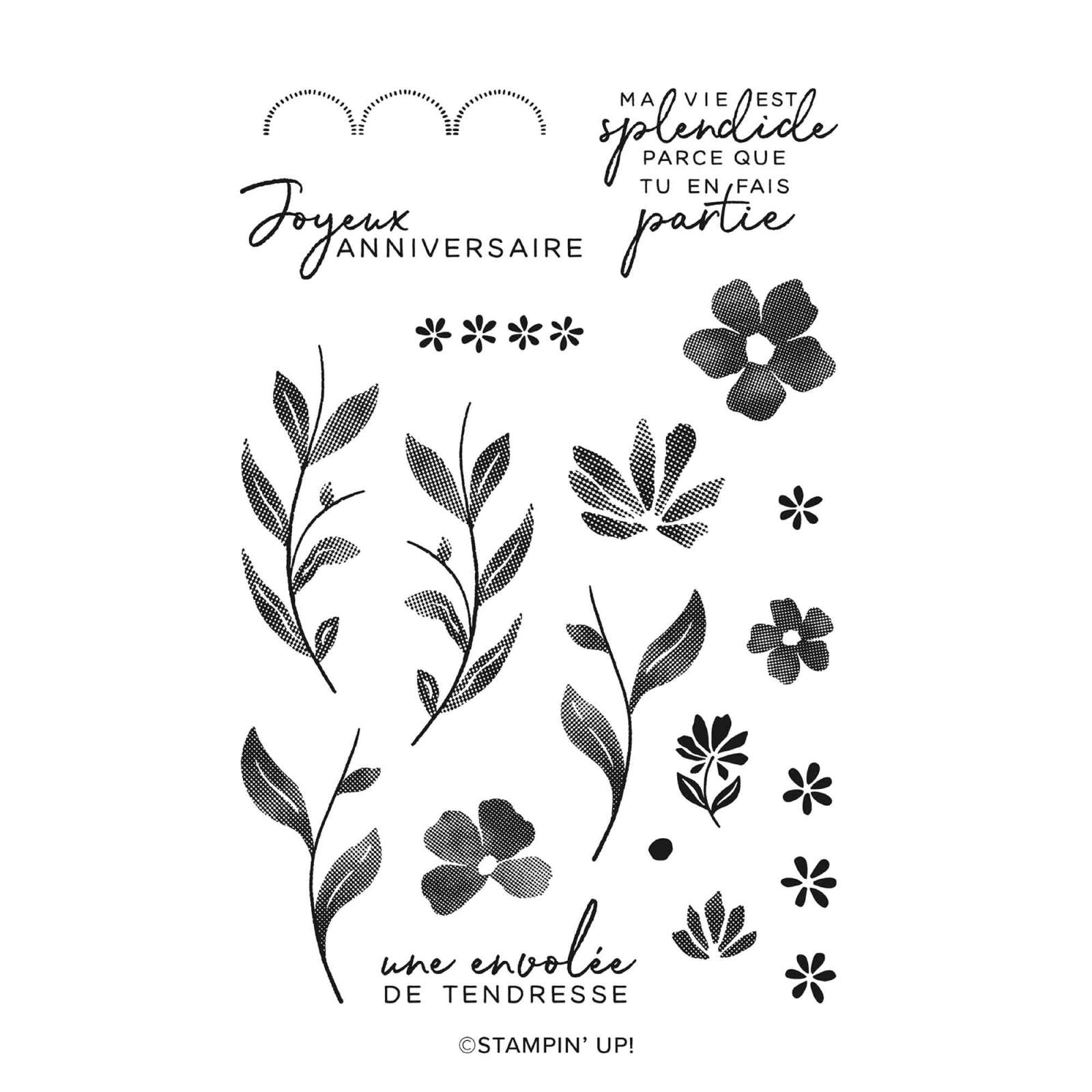 LOT JARDIN DE DALLES (FRANÇAIS)