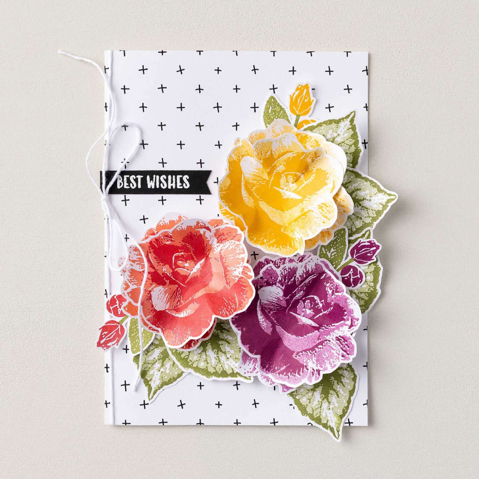 SET DE TAMPONS EN RÉSINE BÉGONIAS EN BEAUTÉ (FRANÇAIS)