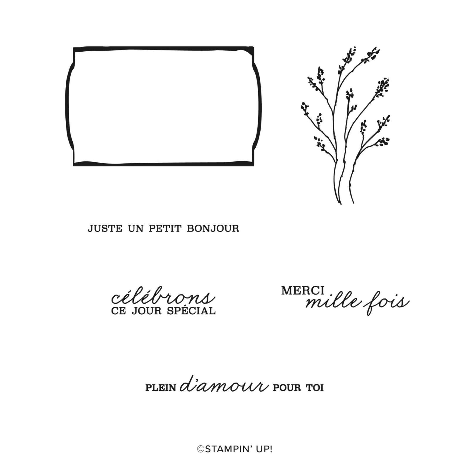 KIT GALERIE DORÉE (FRANÇAIS)