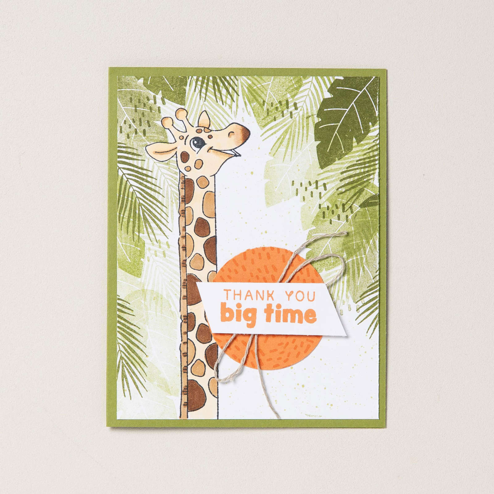SILLY SAFARI PHOTOPOLYMER STAMP SET (ENGLISH)