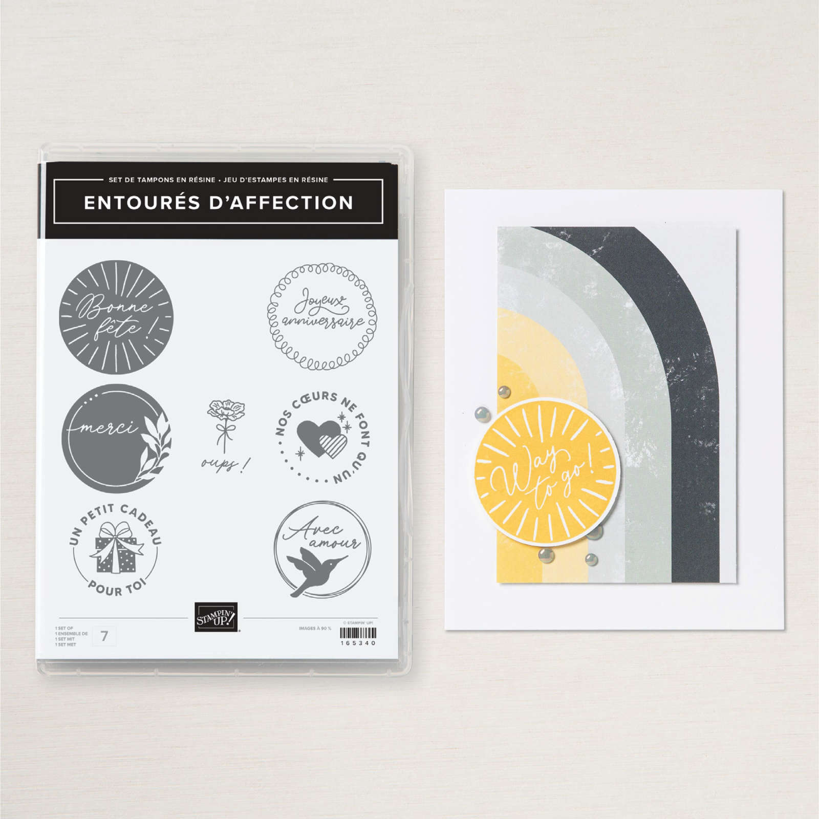 SET DE TAMPONS EN RÉSINE ENTOURÉS D'AFFECTION (FRANÇAIS)