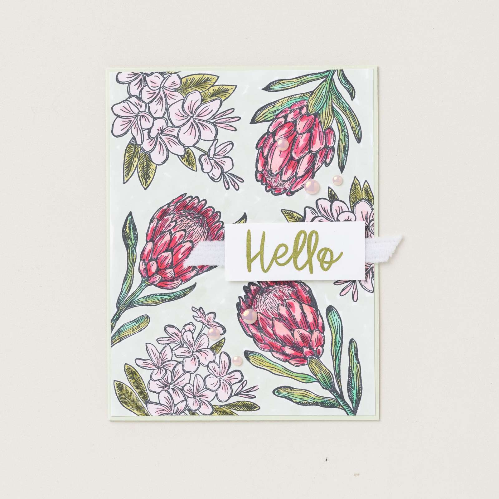 BRANCHING OUT PHOTOPOLYMER STAMP SET (ENGLISH)