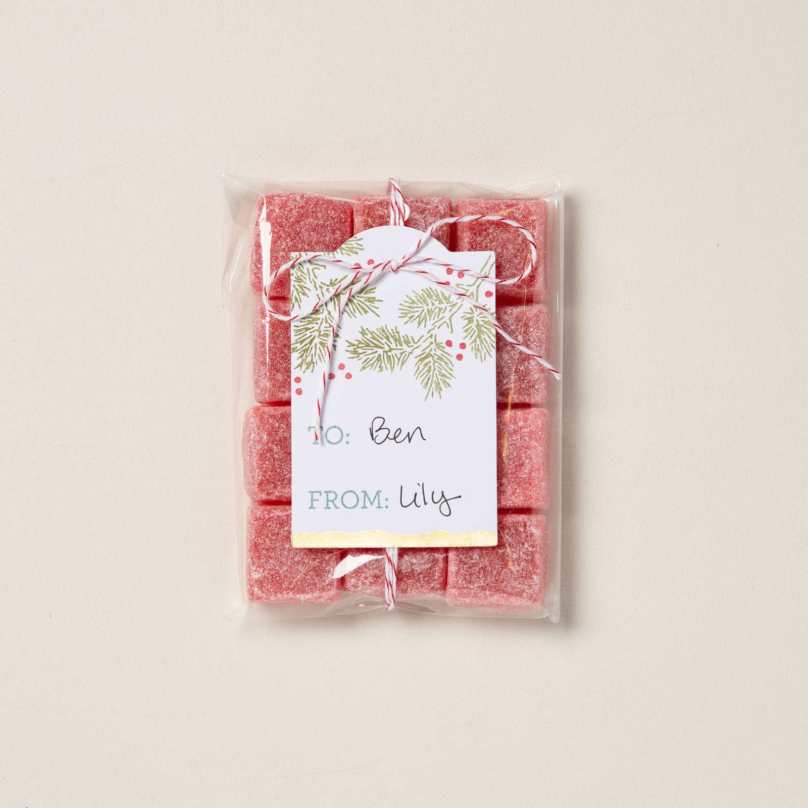 SEASONAL TAGS PHOTOPOLYMER STAMP SET (ENGLISH)