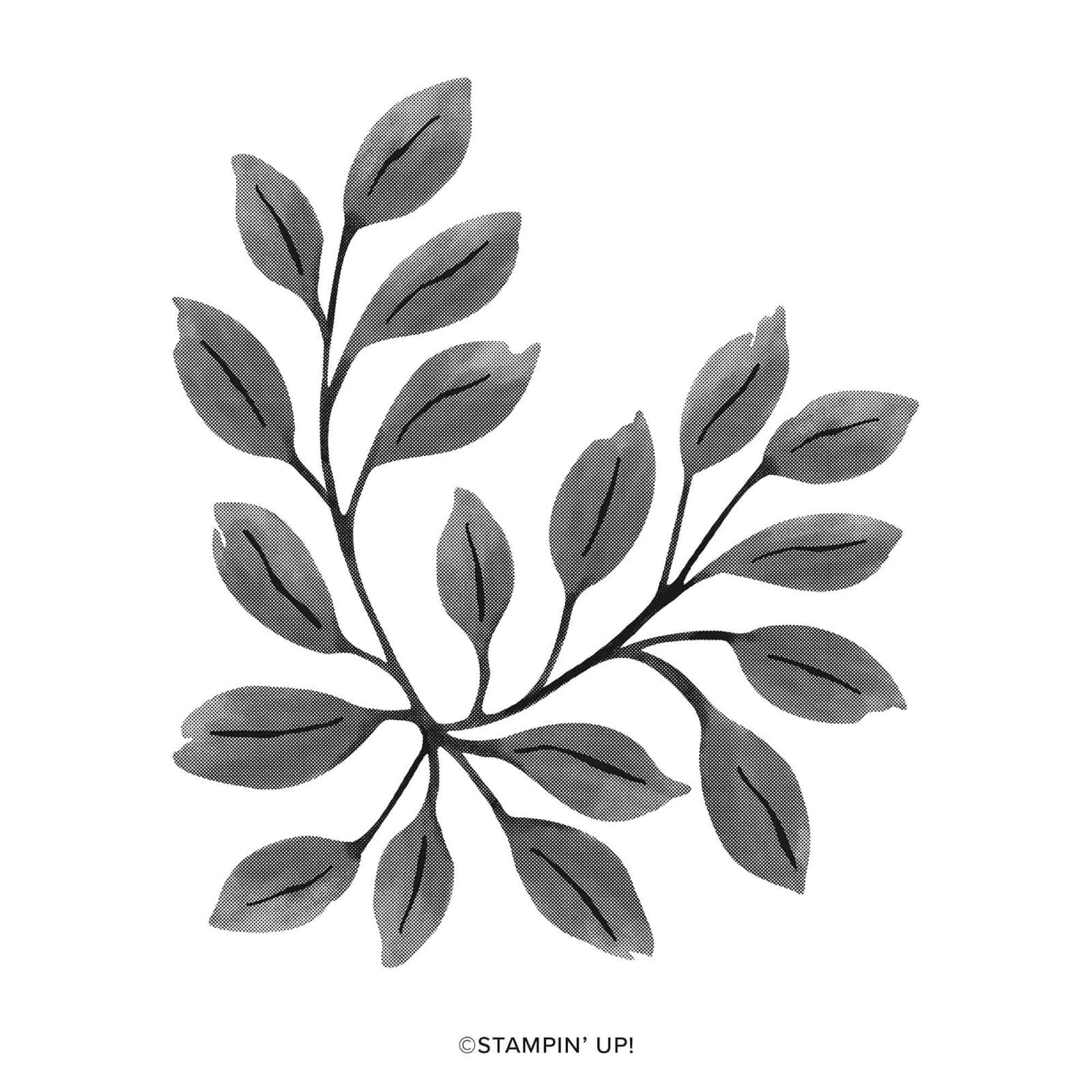 BOTANICAL GLOW bundle