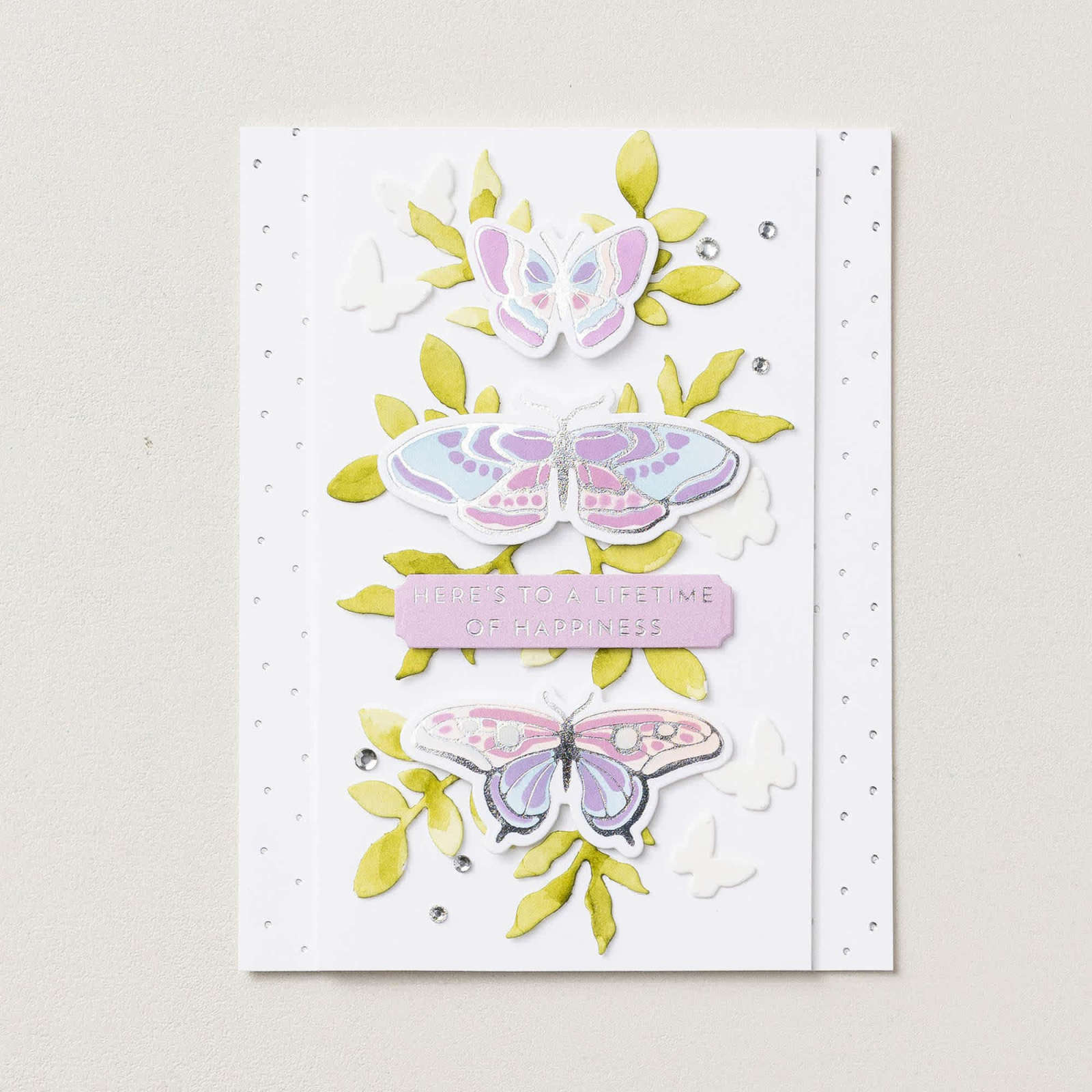 BUTTERFLY FLIGHT bundle