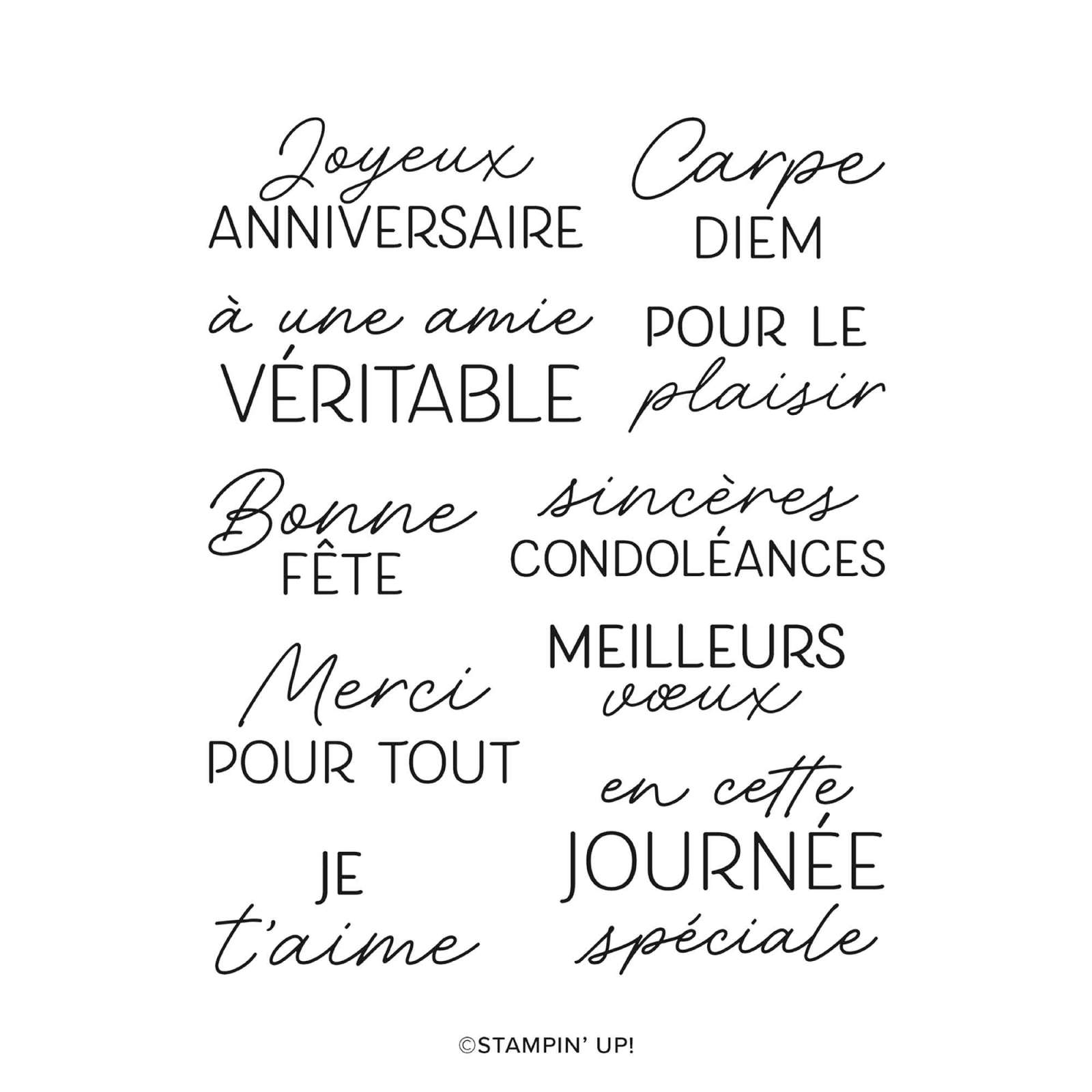 LOT FABULEUSEMENT ENCADRÉ (FRANÇAIS)