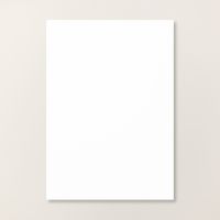 Papier A4 cartonné Blanc Simple - 159228
