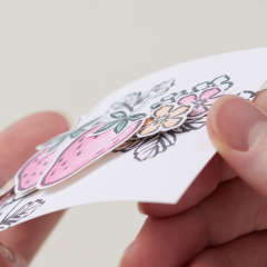 STAMPIN’ DIMENSIONALS