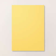 DAFFODIL DELIGHT A4 CARDSTOCK