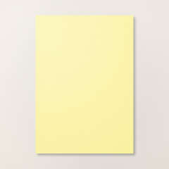 PAPIER CARTONNÉ A4 LUEUR ESTIVALE
