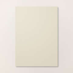 BASIC BEIGE A4 CARDSTOCK