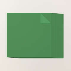 GARDEN GREEN 12" X 12" (30.5 X 30.5 CM) TWO-TONE CARDSTOCK