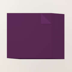 BLACKBERRY BLISS 12" X 12" (30.5 X 30.5 CM) TWO-TONE CARDSTOCK
