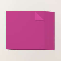 PAPIER CARTONNÉ À DEUX TONS 12" X 12" (30,5 X 30,5 CM) EXPLOSION DE BAIES